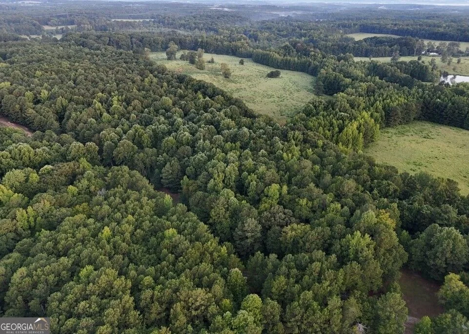 Photo of 3889 Greenville Road