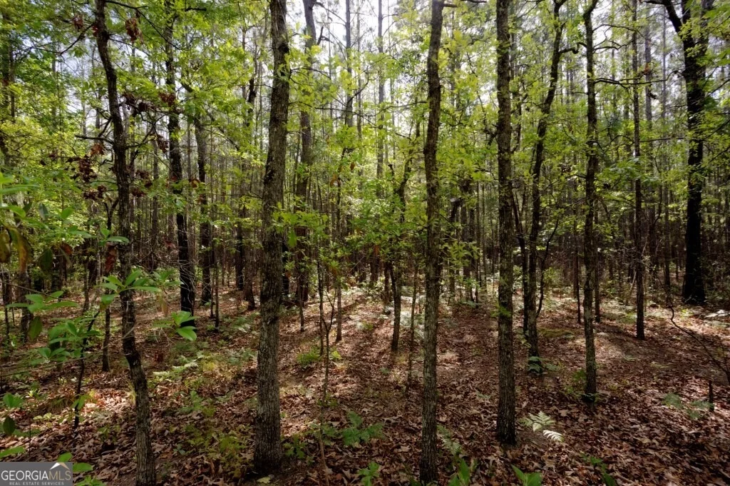 Photo of 5391 Big Pine Road