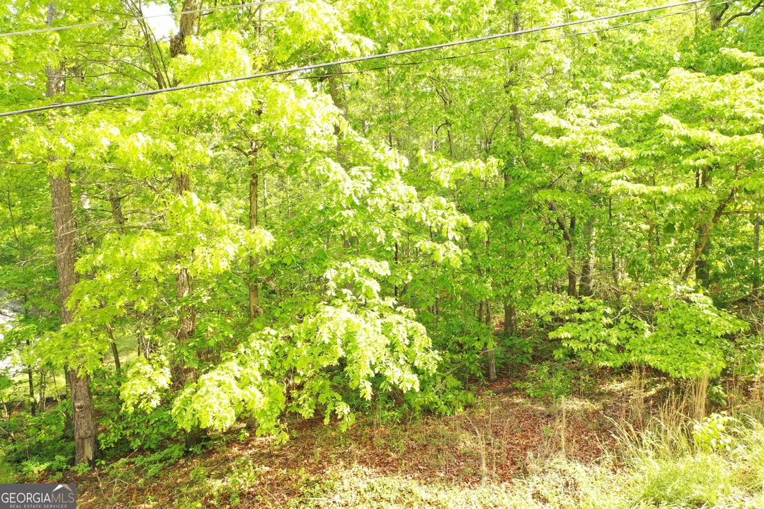 Photo of 20 Eden Woods