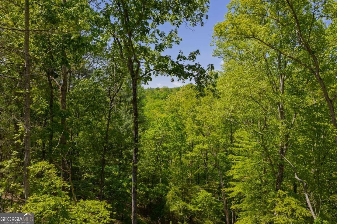 Photo of LOT 343 Shallow Branch Drive