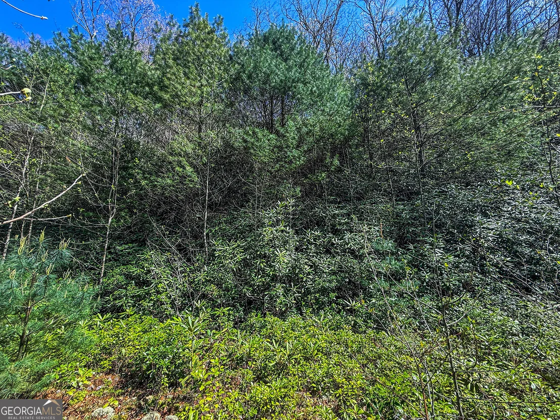 Photo of TR 5 Outback Lane