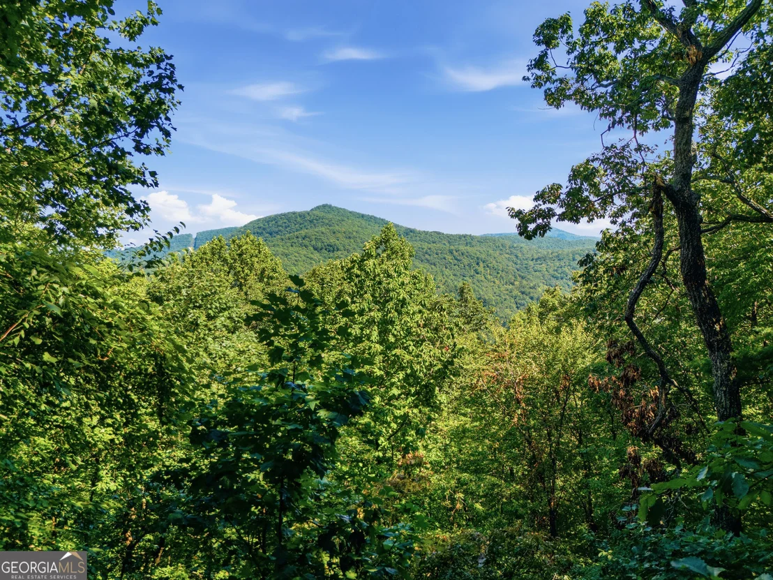 Photo of 445 Orchid Trail