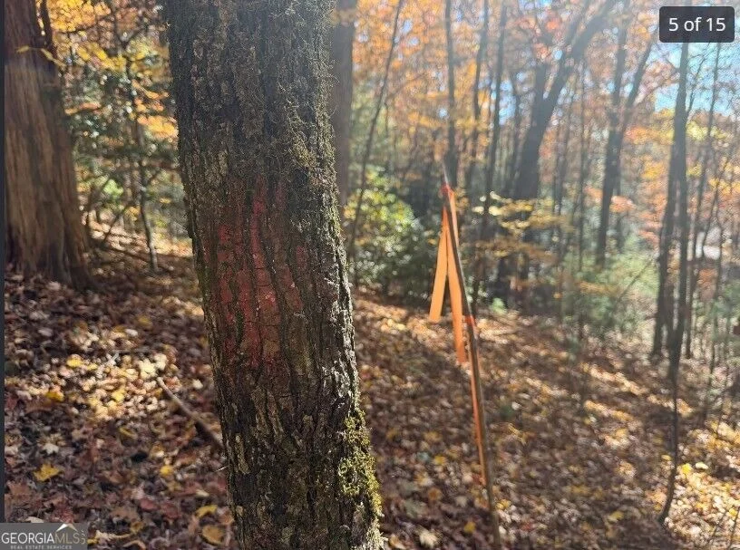 Photo of LOTS 12 &14 Crows Nest