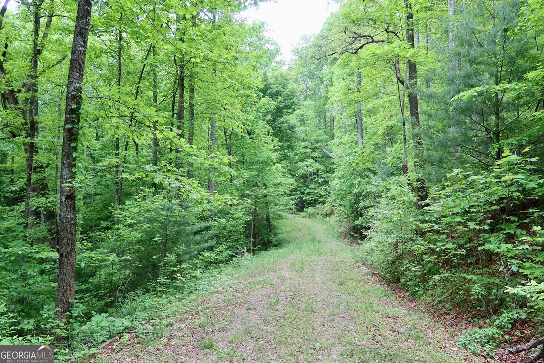 Photo of 0 Bluff Mtn