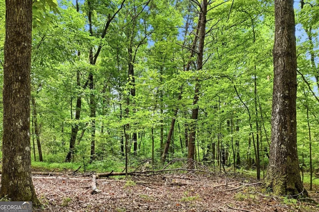 Photo of 35 Quail Walk