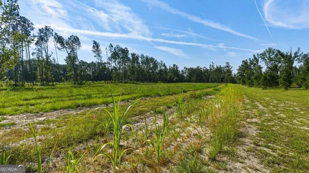 Photo of 1370 Ga Highway 56