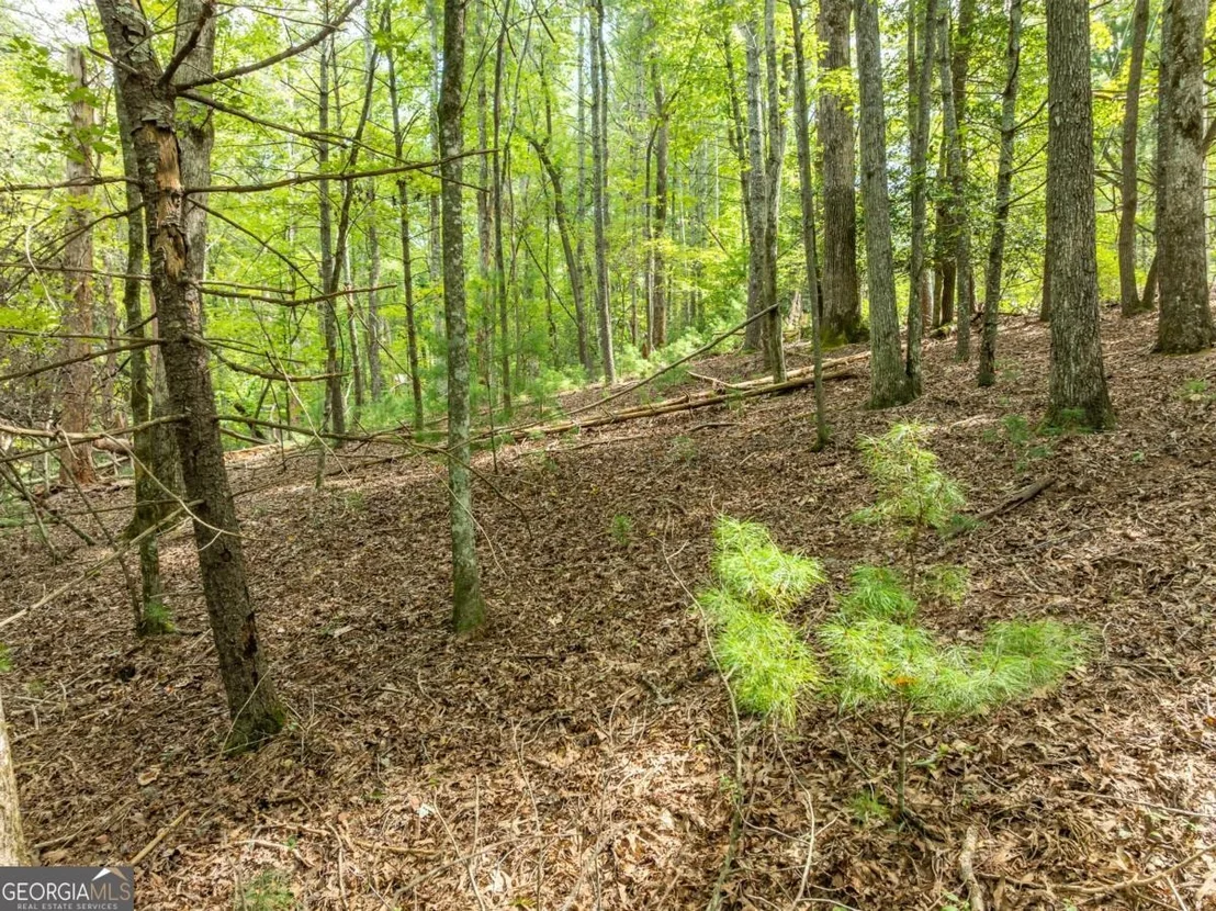 Photo of LOT 272 Seneca Drive