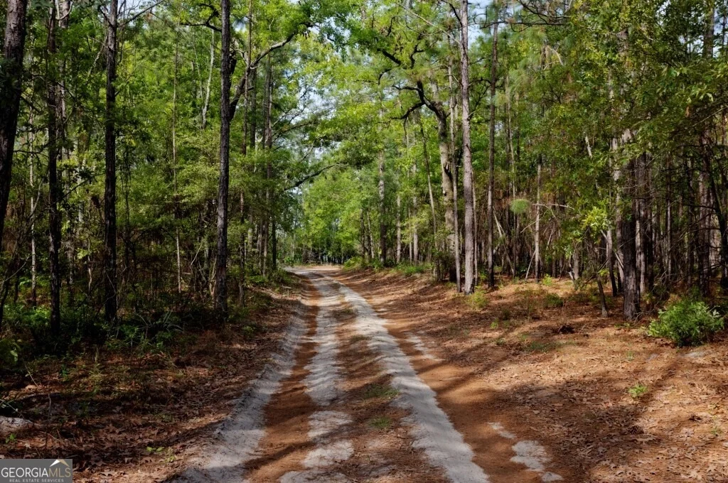 Photo of 5391 Big Pine Road