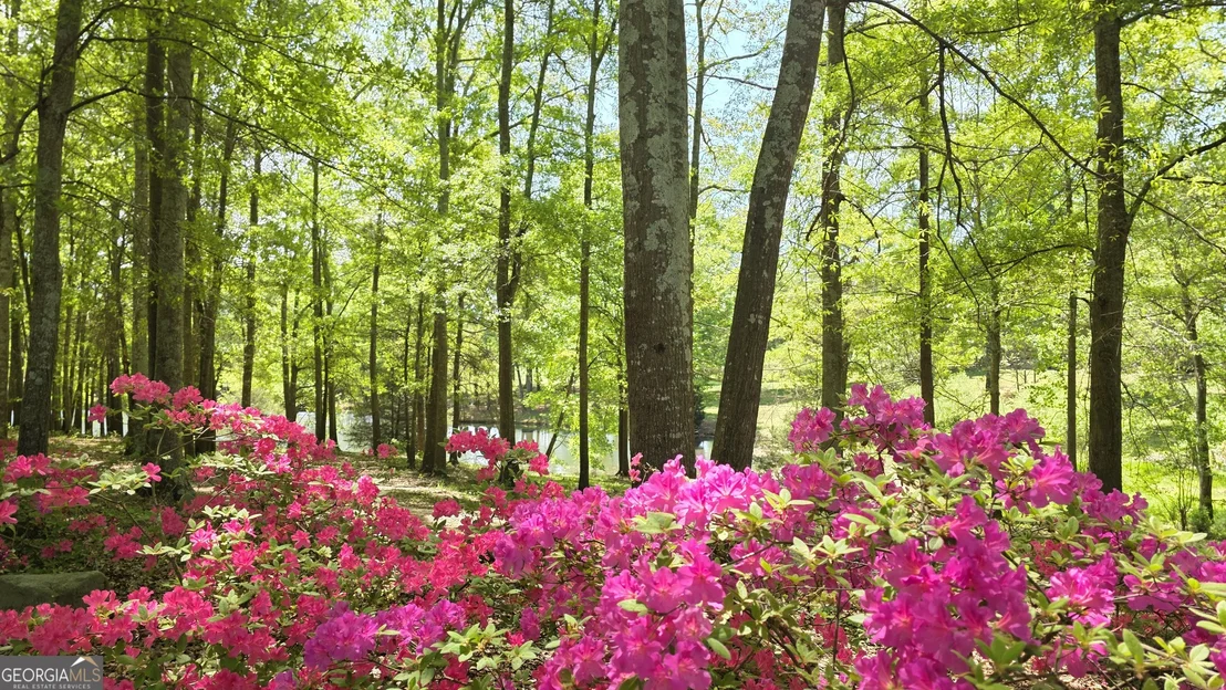 Photo of 135 Canters Run