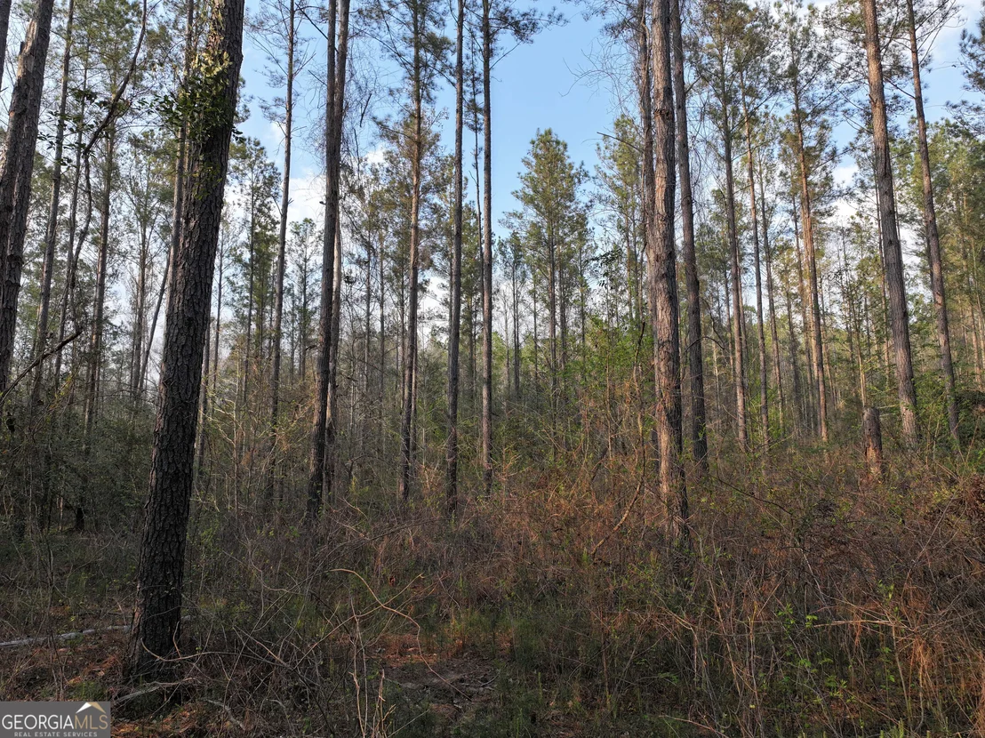 Photo of 195 County Line Road