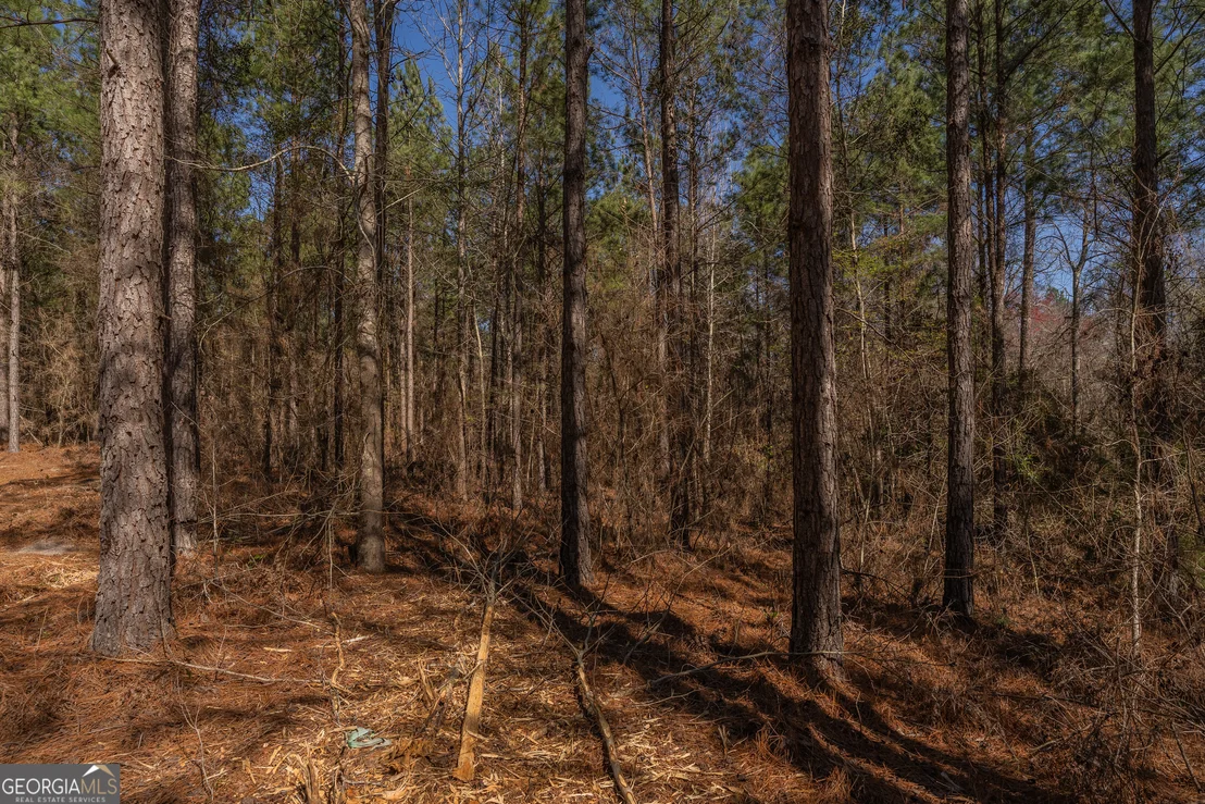 Photo of LOT 7 Golf Course Road