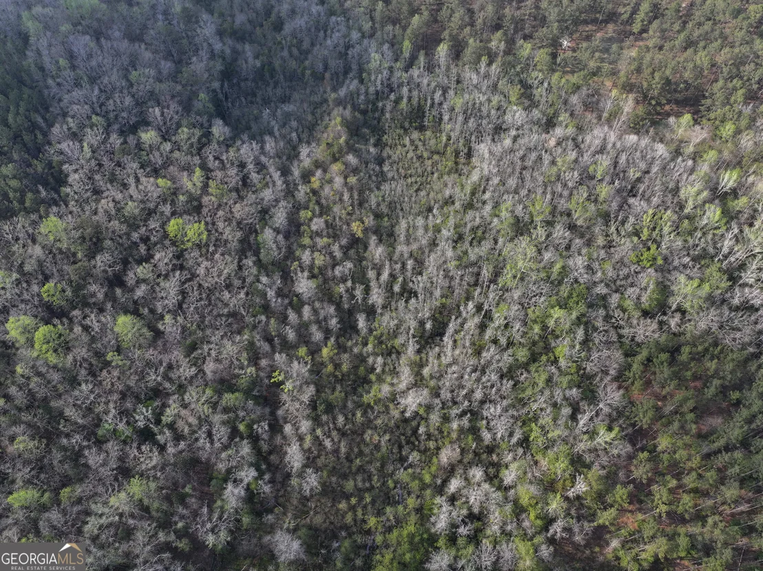 Photo of 195 County Line Road