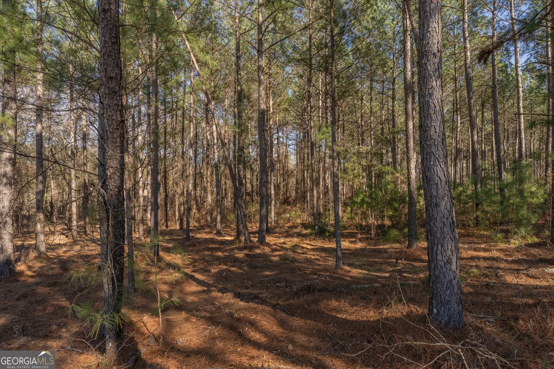 Photo of LOT 5 Golf Course Road