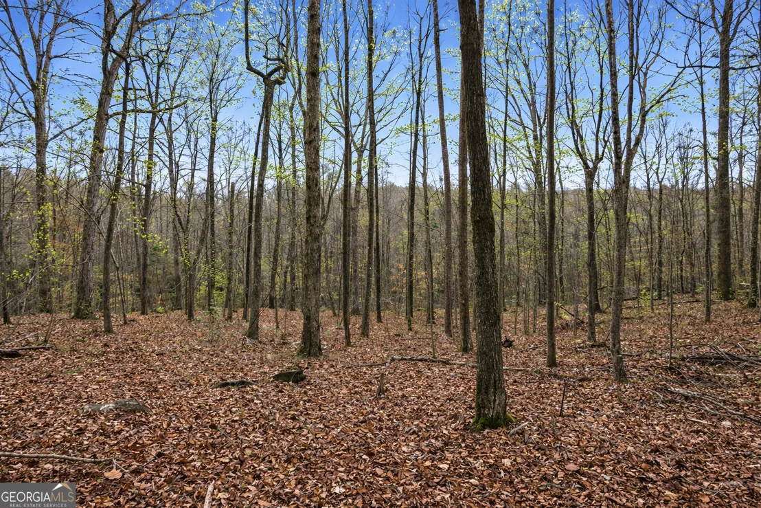 Photo of 2300 Stonepile Road