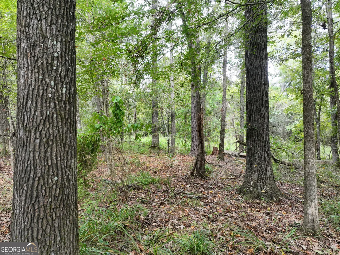 Photo of 0 Old US 84