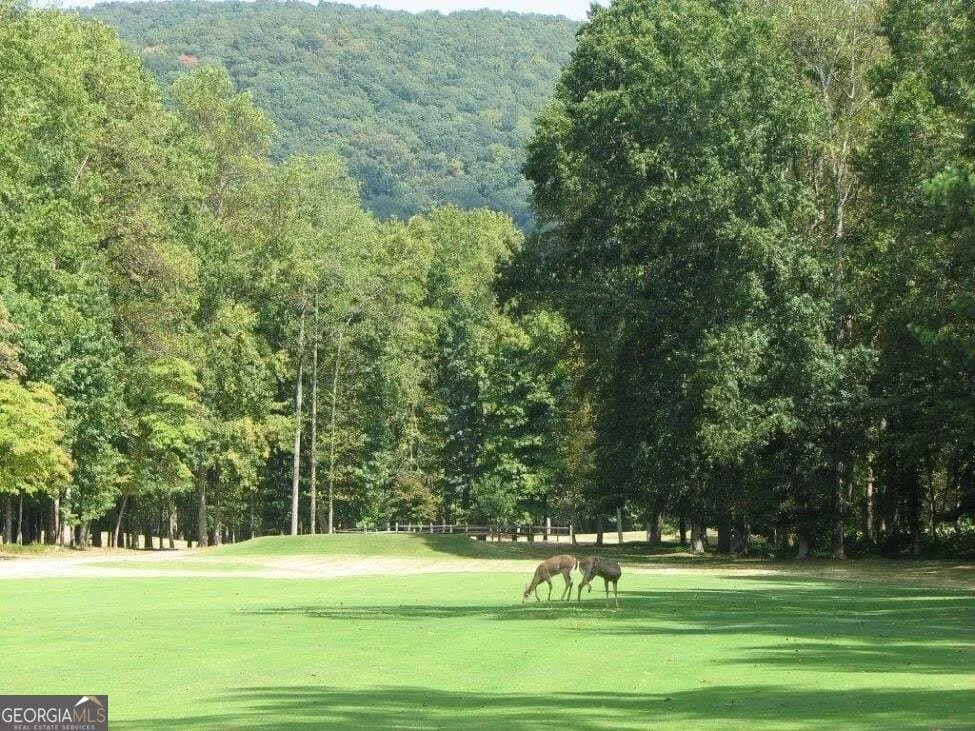 Photo of 0 Shadowick Mountain Road