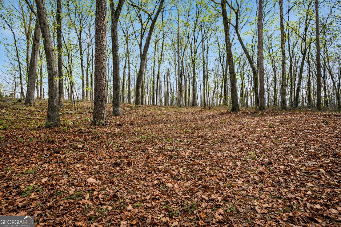 Photo of Unit LOT3 at 2325 Stonepile Road