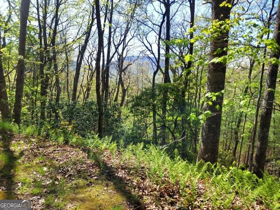 Photo of 0 LOT 40 Pipetrack Gap Road