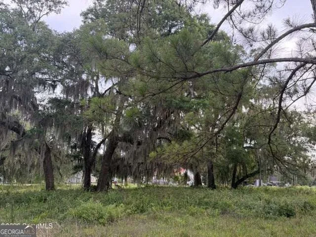 Photo of Unit LOT38 at 119 Sapelo Circle