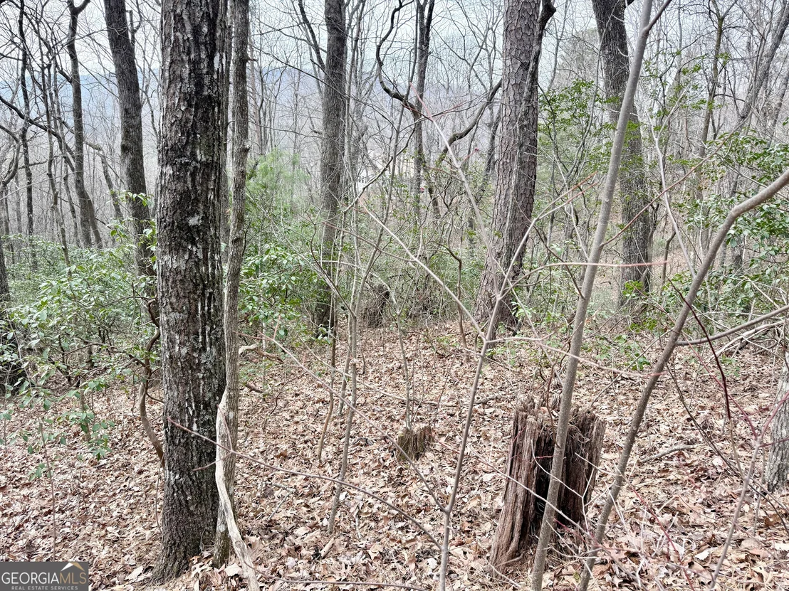 Photo of 0 Monarch Lane