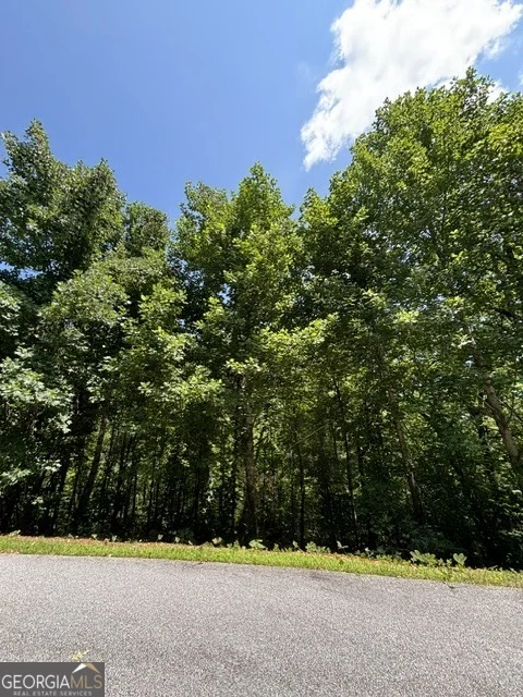 Photo of LOT #5 King Mountain Drive