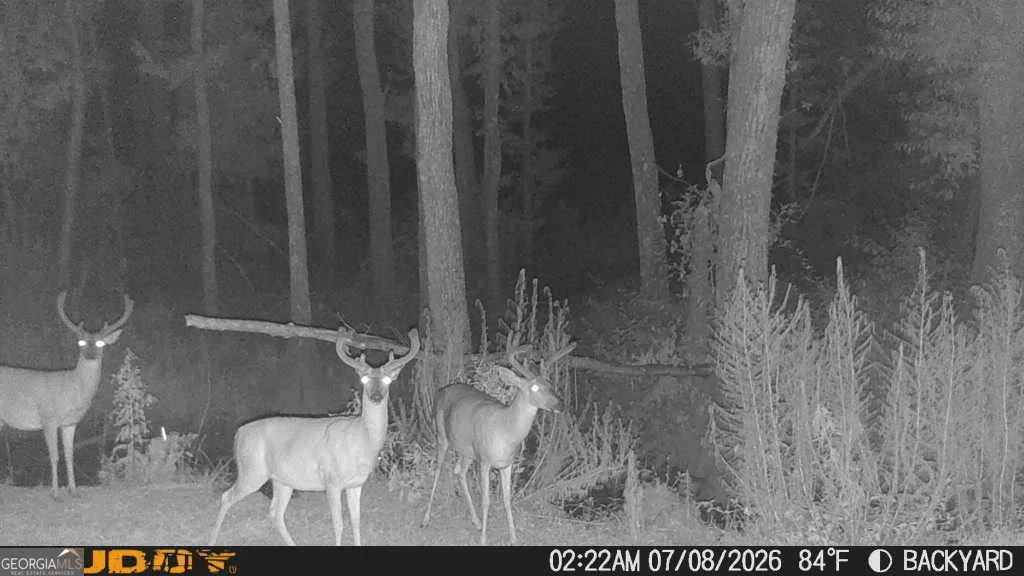 Photo of 1370 Ga Highway 56