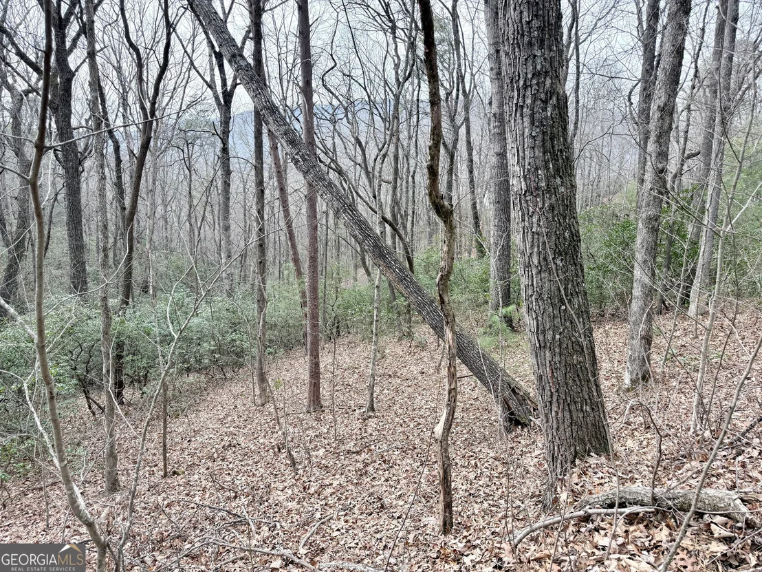 Photo of 0 Monarch Lane
