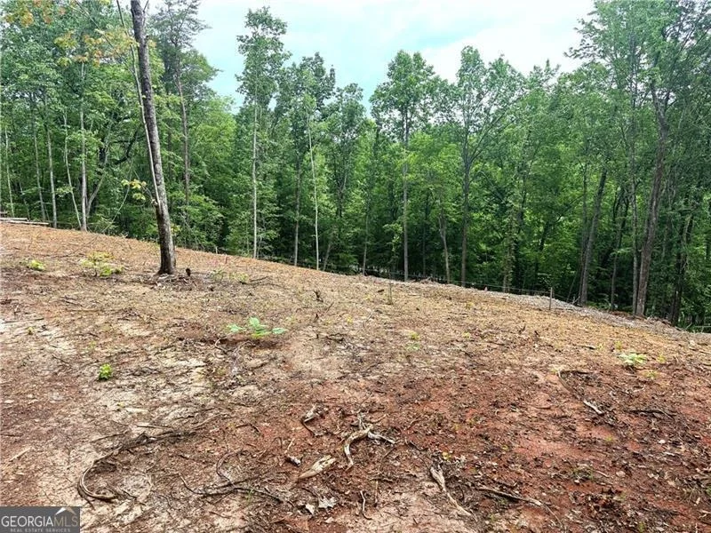 Photo of 329 River Highlands Road