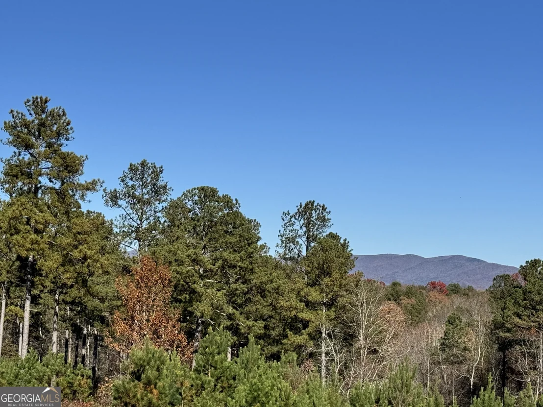 Photo of 61 Station Gap