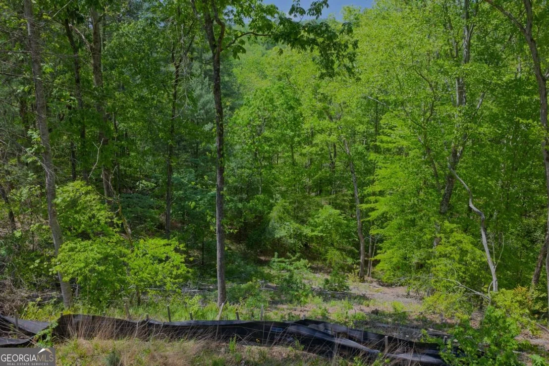 Photo of LOT 343 Shallow Branch Drive