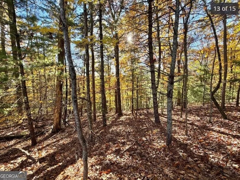 Photo of LOTS 12 &14 Crows Nest