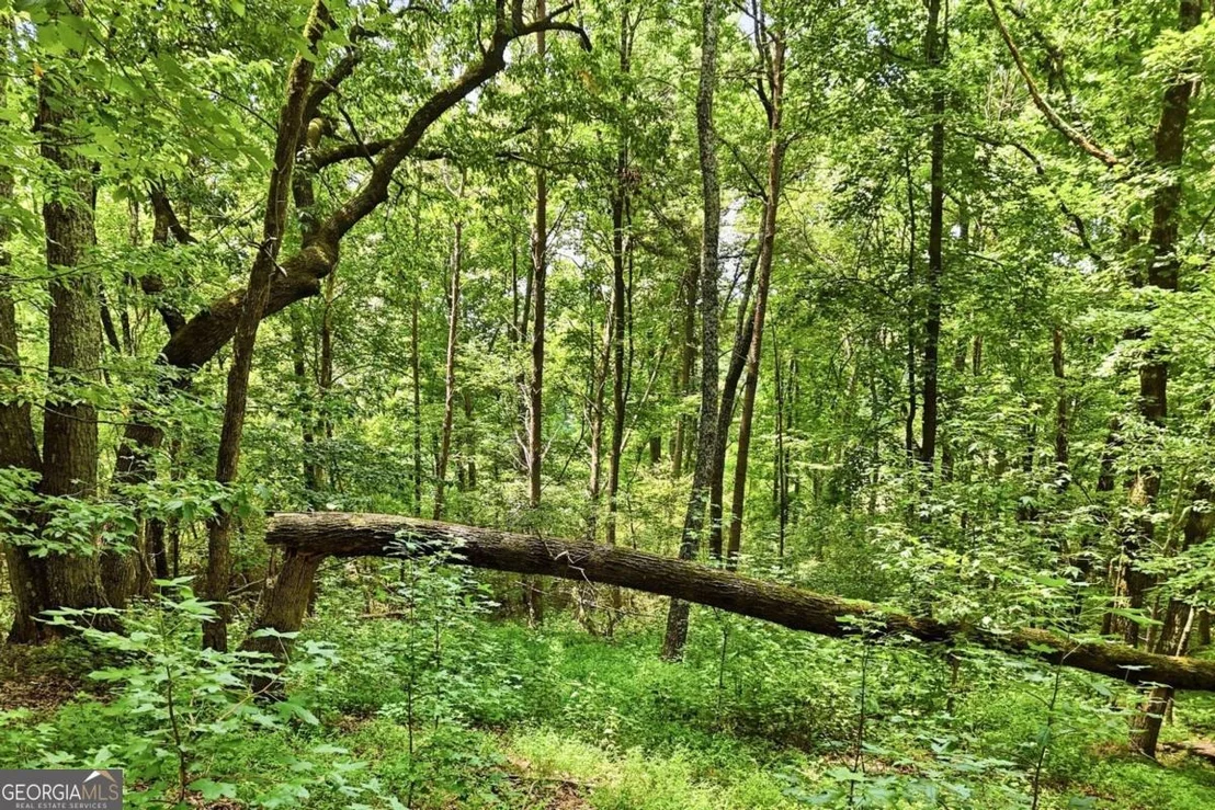 Photo of 35 Quail Walk