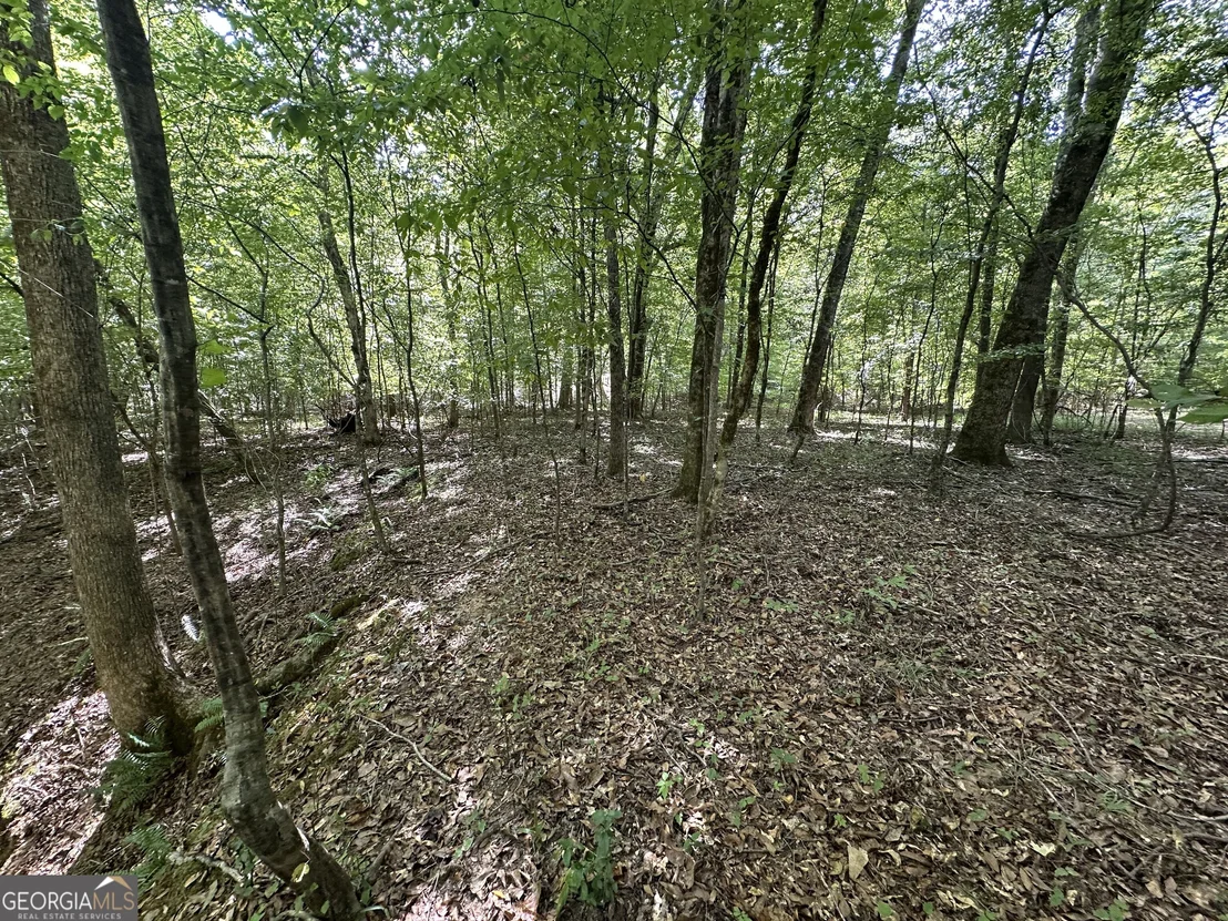 Photo of 119 Hough Johnson Road