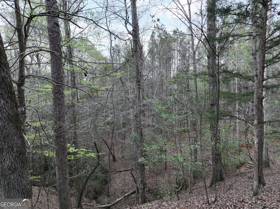 Photo of 195 County Line Road
