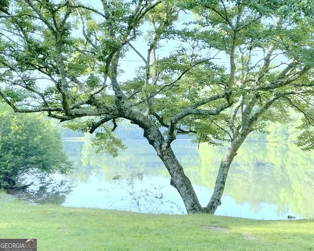 Photo of 6X Laurelwood
