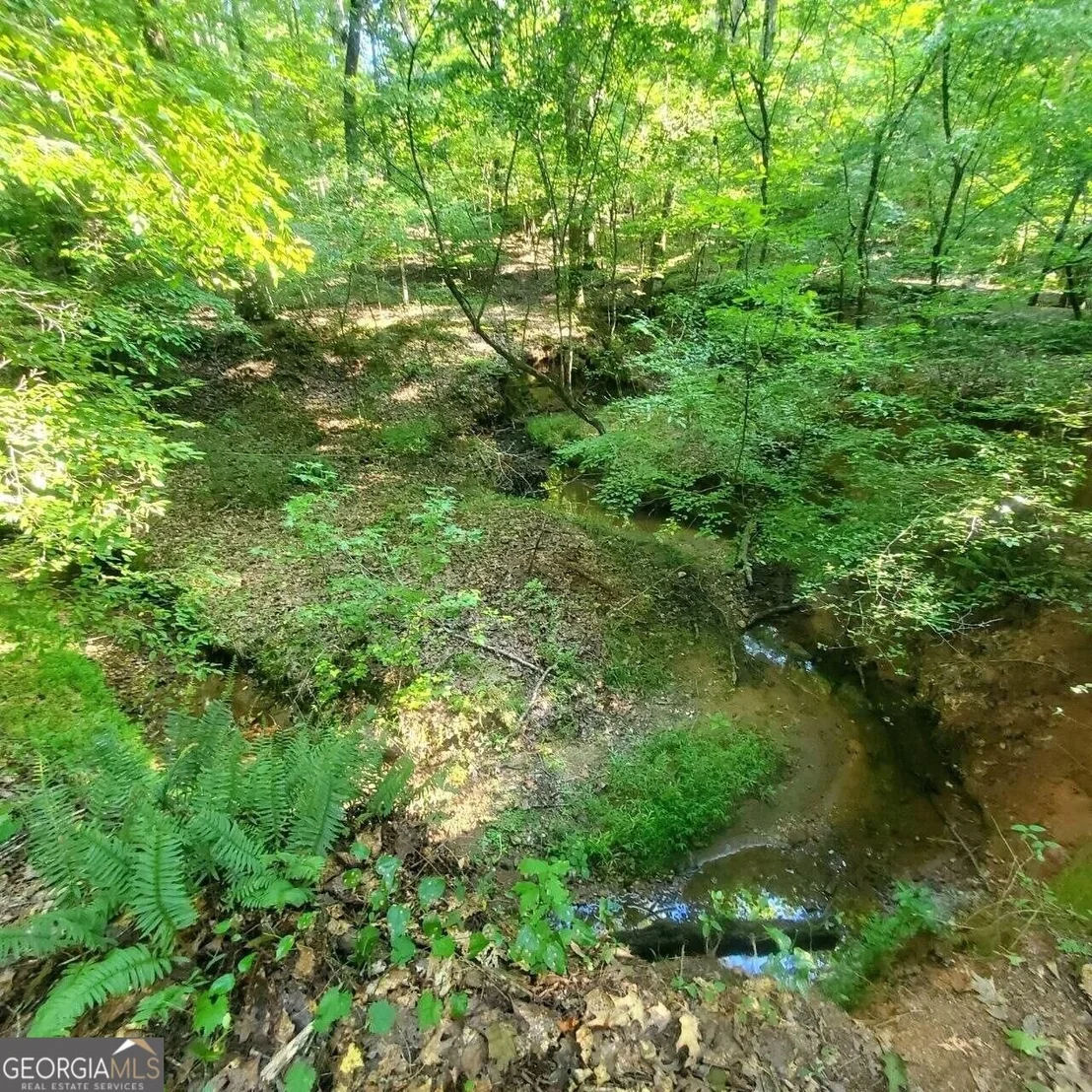Photo of 259 Hawks Trail