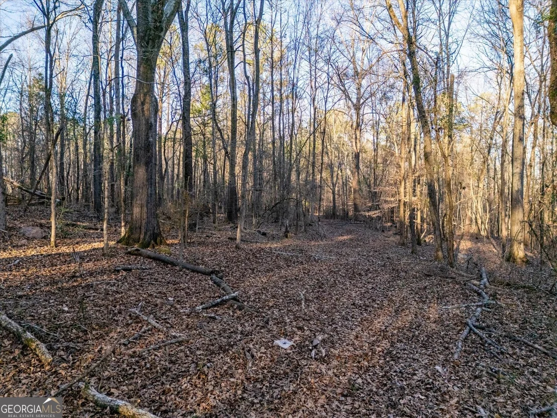 Photo of Unit TRACT3 at 0 Jefferson River Road