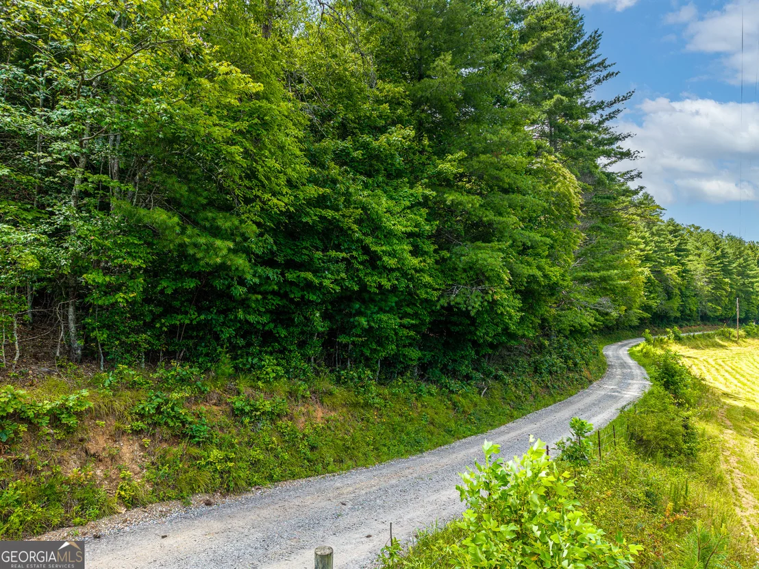 Photo of 0 White Pine Road