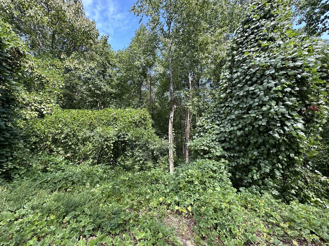 Photo of 0 King Mtn Drive
