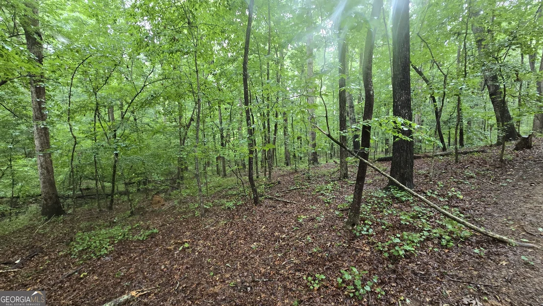 Photo of 3065 Smokey Road