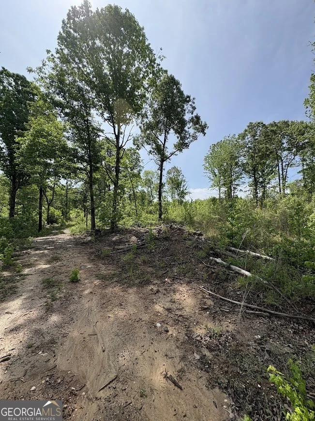Photo of 0 Roy Dean Road