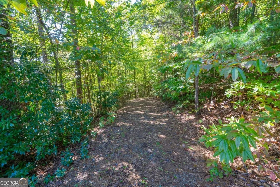 Photo of Unit LOT67 at LOT 6/7 Raintree Bend