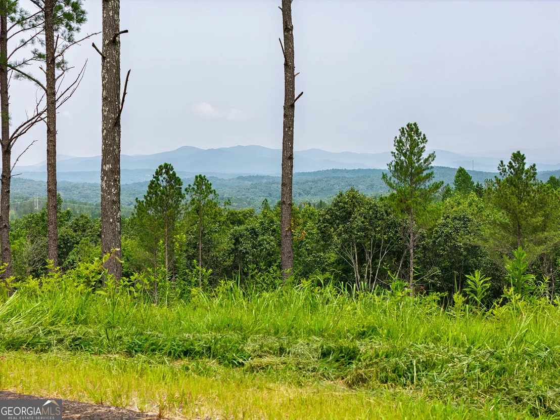 Photo of LOT 63 Lacey Springs Lane
