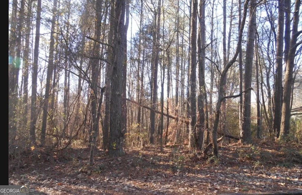Photo of 0 Bartlett Circle
