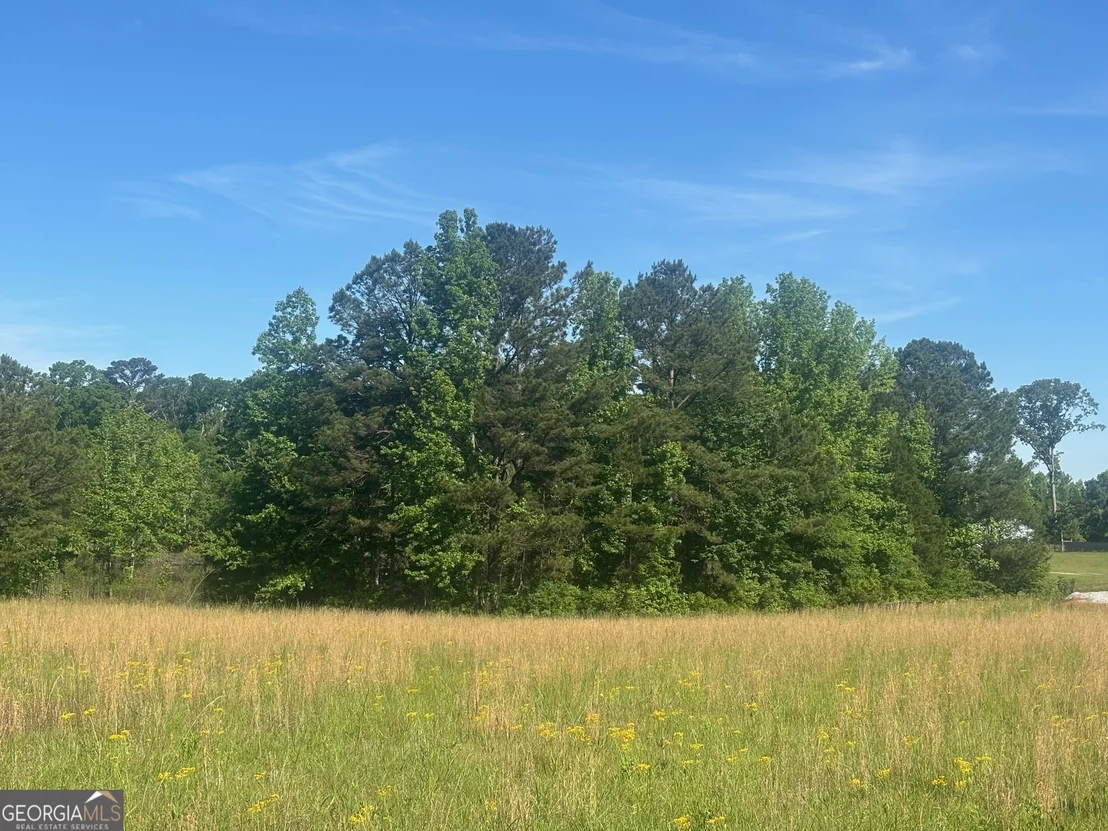 Photo of 89 Davidson Road