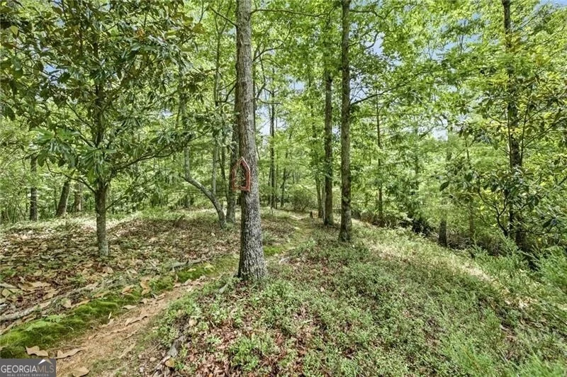 Photo of 7625 Fish Hook Lane