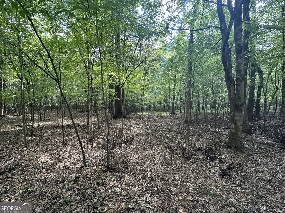 Photo of 119 Hough Johnson Road
