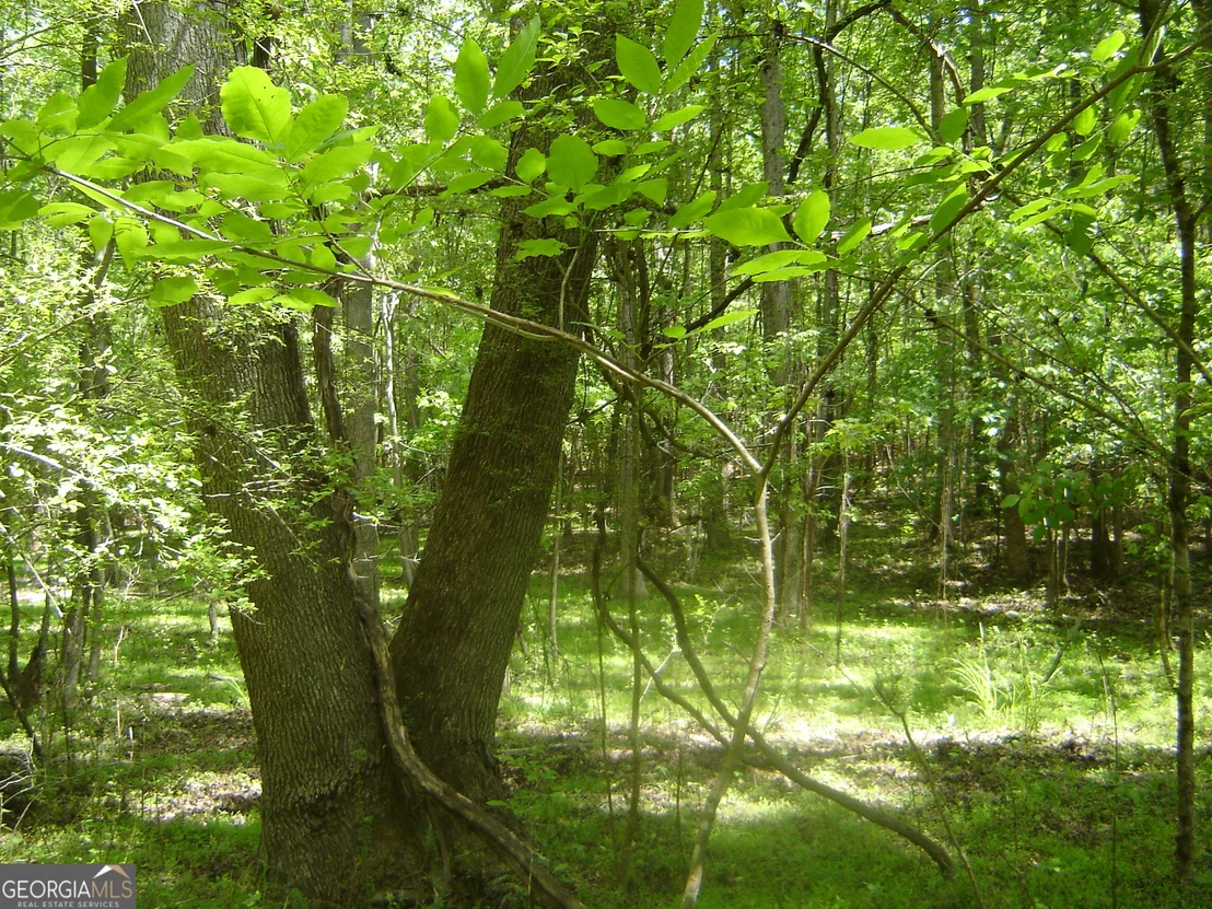Photo of 0 Liberty Hill Road