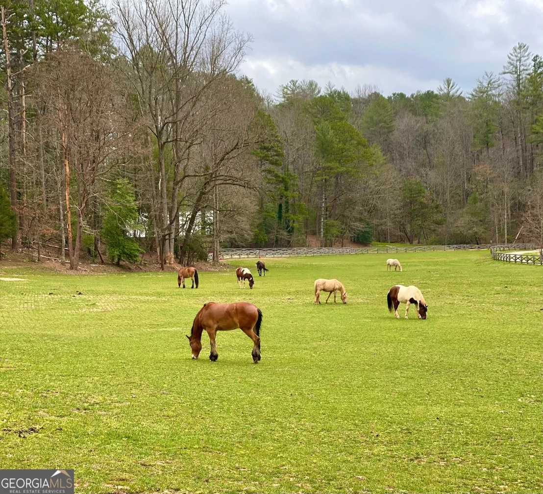 Photo of 3622 Sandy Ford Road