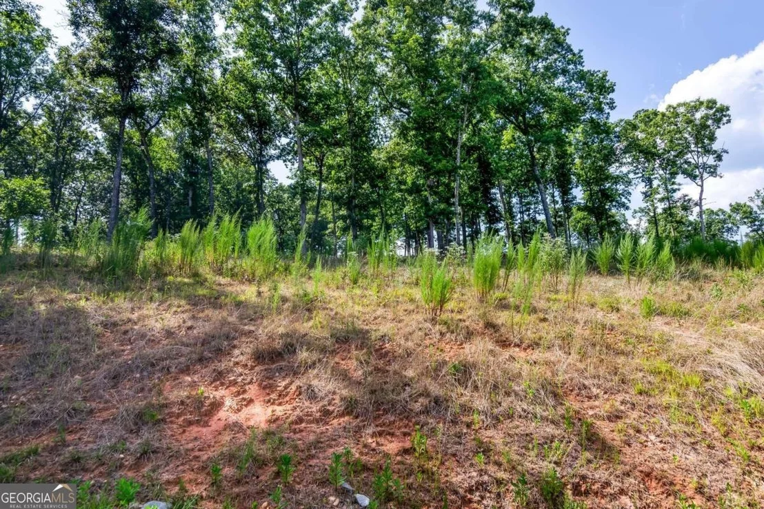 Photo of LOT 84 Ridge Drive